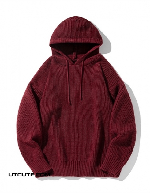 ÁO LEN HOODIE L4109